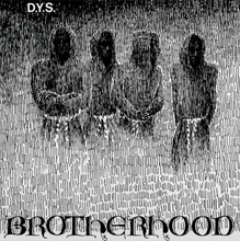 Load image into Gallery viewer, D.Y.S.- Brotherhood (40th Anniversary)