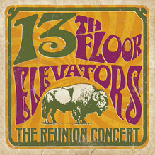 Load image into Gallery viewer, 13th Floor Elevators- The Reunion Concert