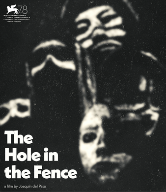 Motion Picture- The Hole In The Fence