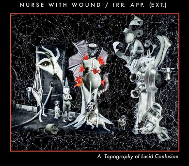 Nurse With Wound / Irr. App. (Ext.)- A Topography Of Lucid Confusion