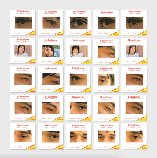 John Cale- Academy In Peril