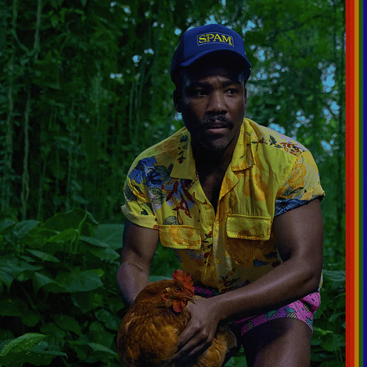 Childish Gambino- Bando Stone & The New World