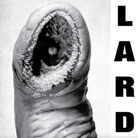 Lard- The Power Of Lard EP