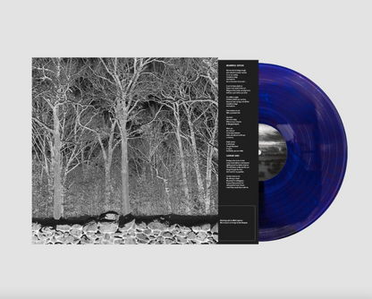 Pile - Sunshine & Balance Beams