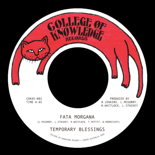 Temporary Blessings- Fata Morgana / Silence Leaves An Open Wound