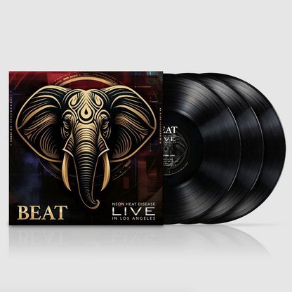 The Beat- Beat Live
