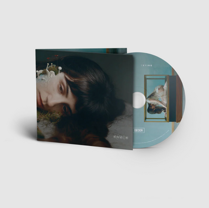 Dodie - Not For Lack Of Trying