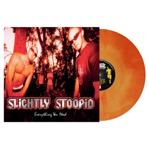 Slightly Stoopid- Everything You Need