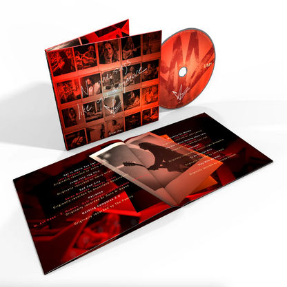 Chris Cornell- No One Sings Like You Anymore