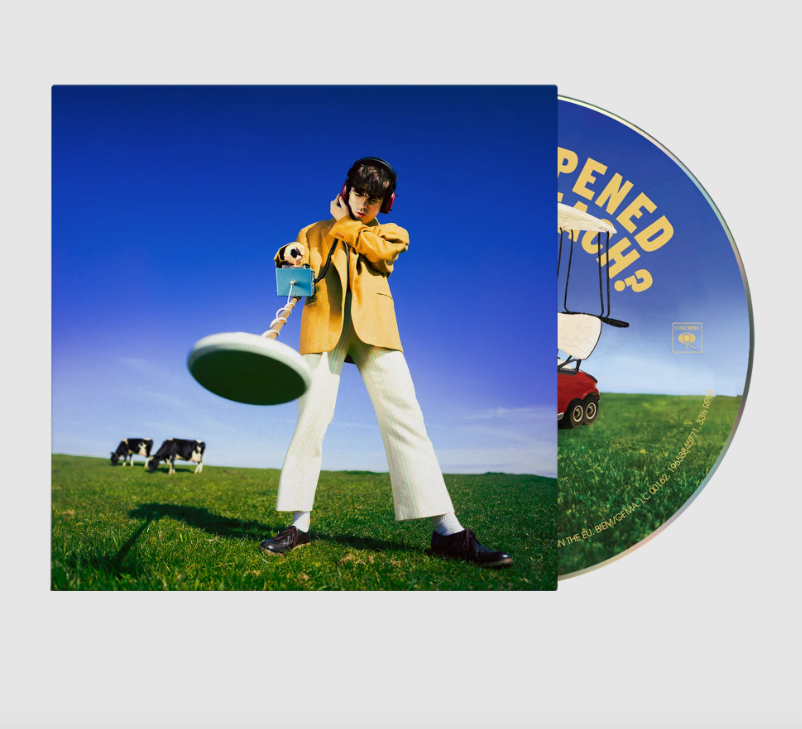Declan McKenna- What Happened To The Beach?