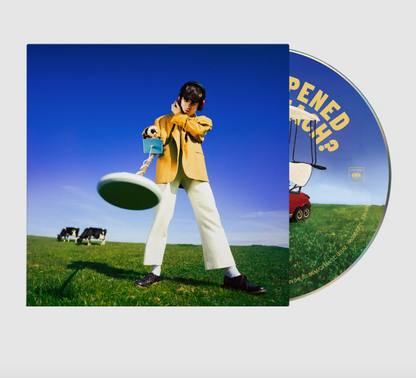Declan McKenna- What Happened To The Beach?