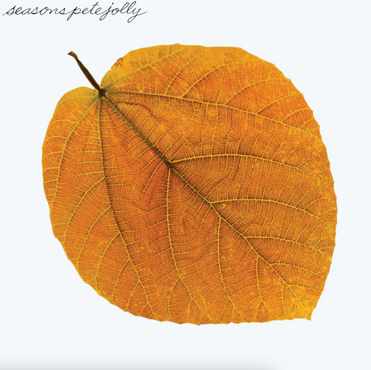 Pete Jolly- Seasons