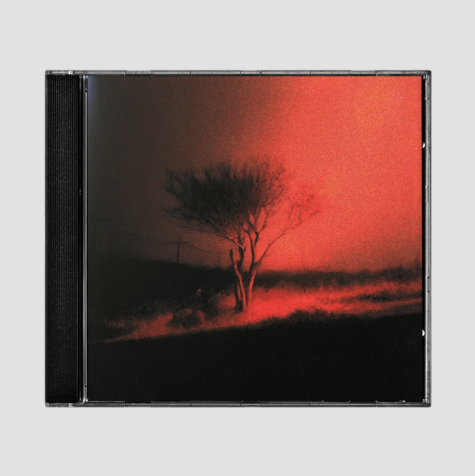 Joji - Piss In The Wind