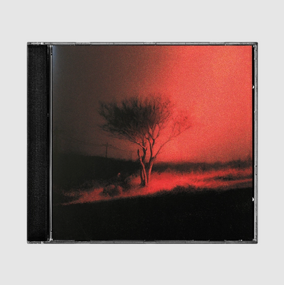 Joji - Piss In The Wind