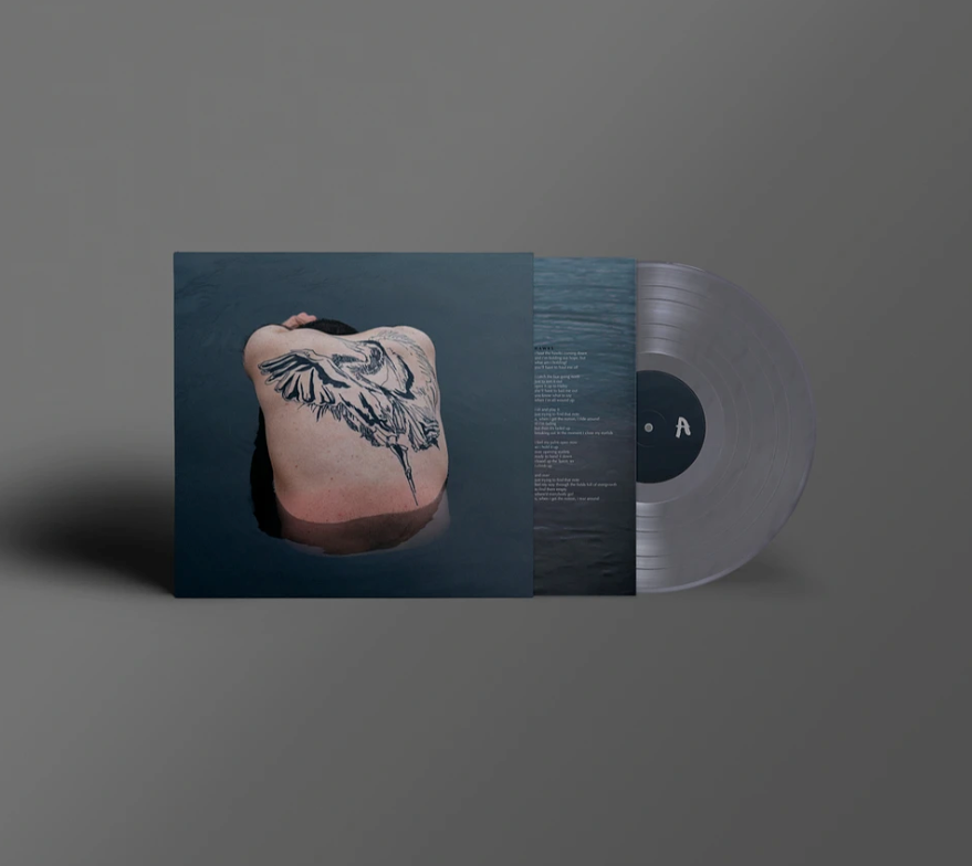 Jodi- Blue Heron