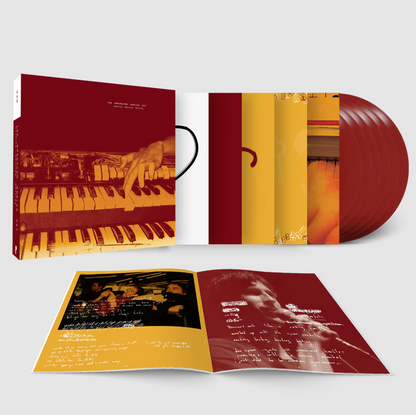 American Analog Set- Destroy Destroy Destroy PREORDER OUT 5/8