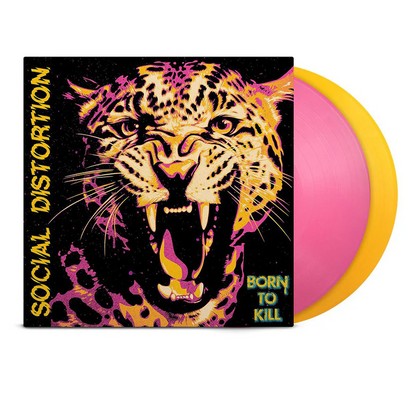 Social Distortion- Born To Kill