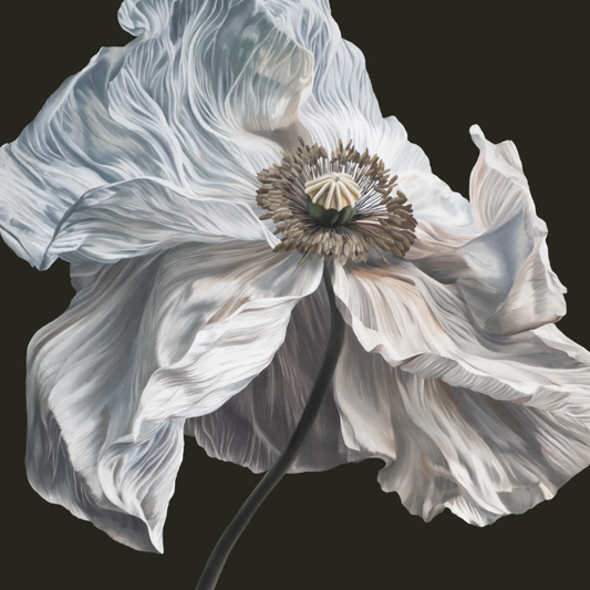 Quicksand- Bring On The Psychics PREORDER OUT 7/17