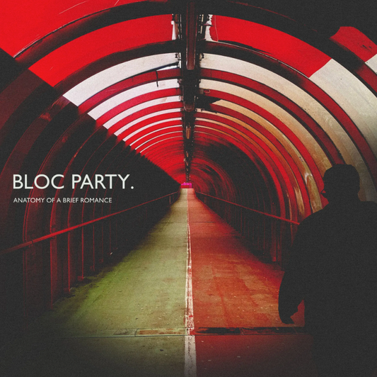 Bloc Party- Anatomy Of A Brief Romance