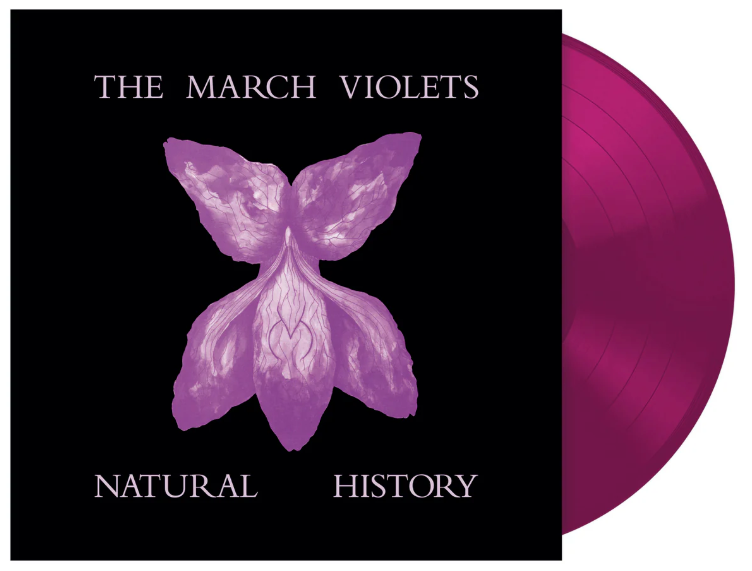 The March Violets- Natural History