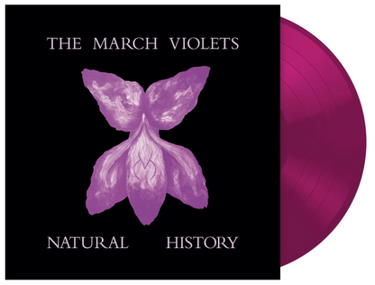 The March Violets- Natural History