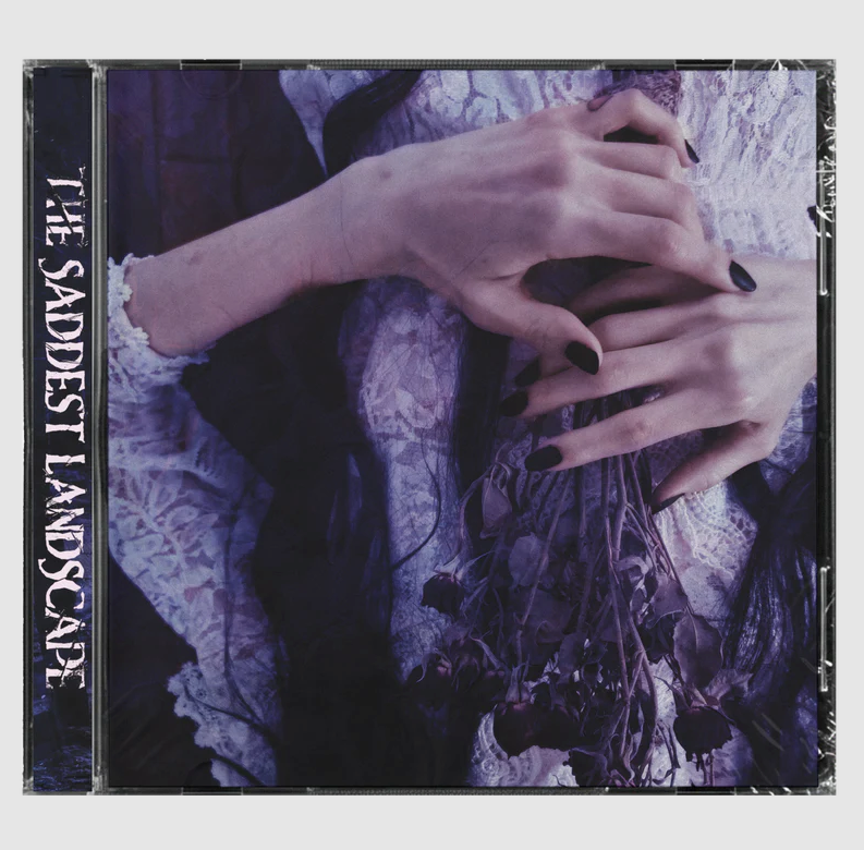 The Saddest Landscape- Alone With Heaven