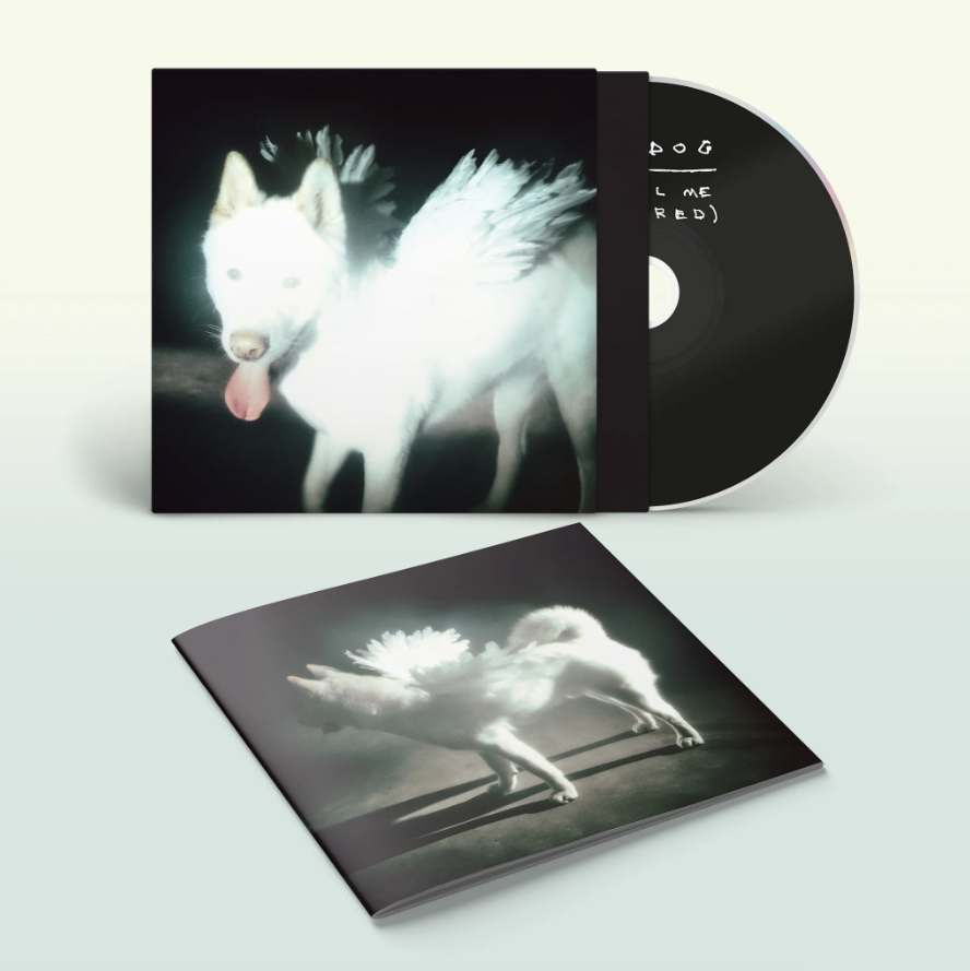 Fat Dog- Cancel Me (I'm Tired) PREORDER OUT 10/2