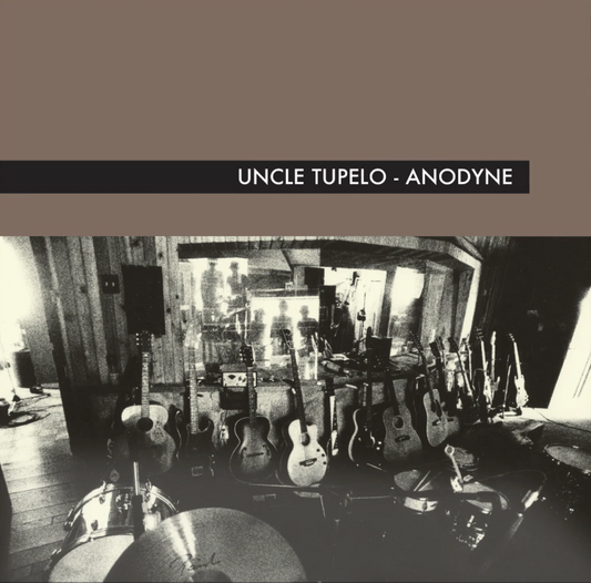 Uncle Tupelo- Anodyne