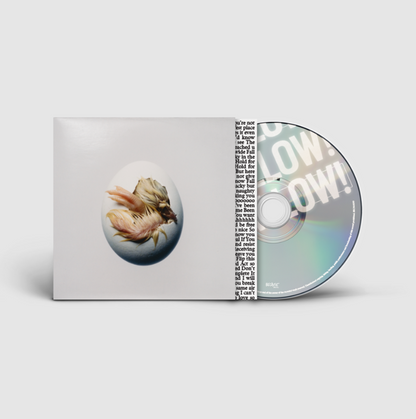 Shygirl- Swallow! PREORDER OUT 11/6