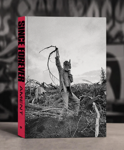 Jeff Ament- Since Forever