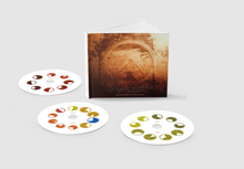 Load image into Gallery viewer, Aphex Twin - Selected Ambient Works Volume II (Expanded Edition)