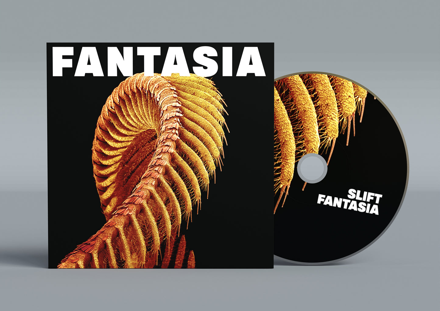Slift- Fantasia