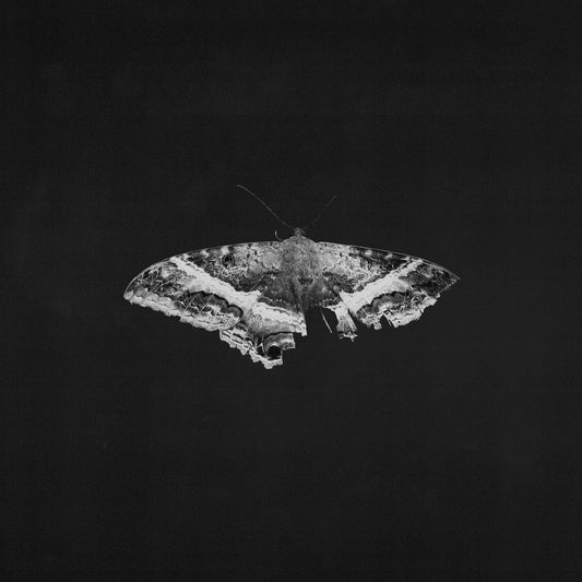 Kendrick Lamar - To Pimp A Butterfly (10 Year Anniversary)