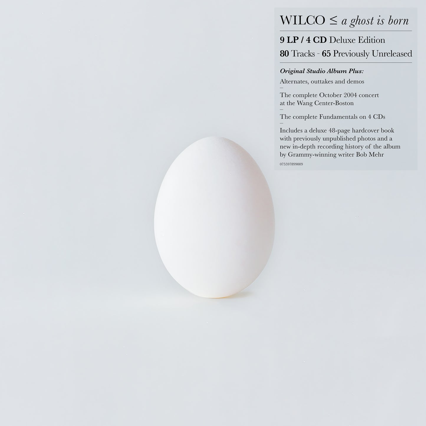 Wilco - A Ghost Is Born (Deluxe Edition)