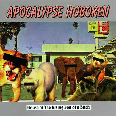 Apocalypse Hoboken- House Of The Rising Son Of A Bitch