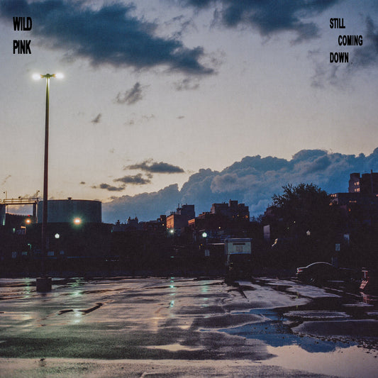 Wild Pink- Still Coming Down PREORDER OUT 8/21