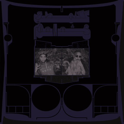 Shabazz Palaces- Exotic Birds Of Prey