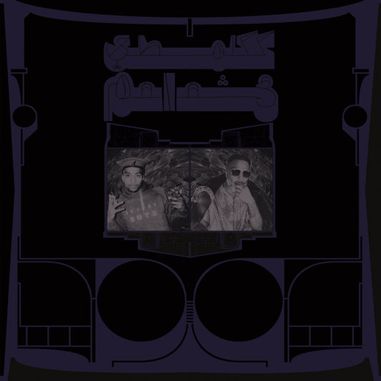 Shabazz Palaces- Exotic Birds Of Prey