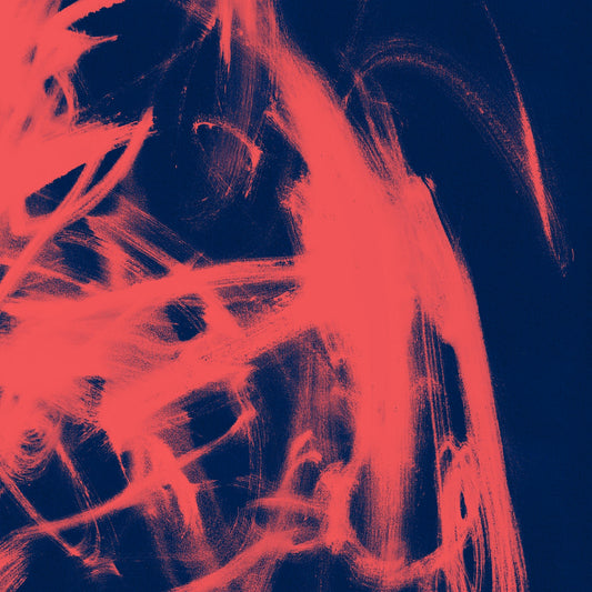 Rival Consoles- Landscape From Memory