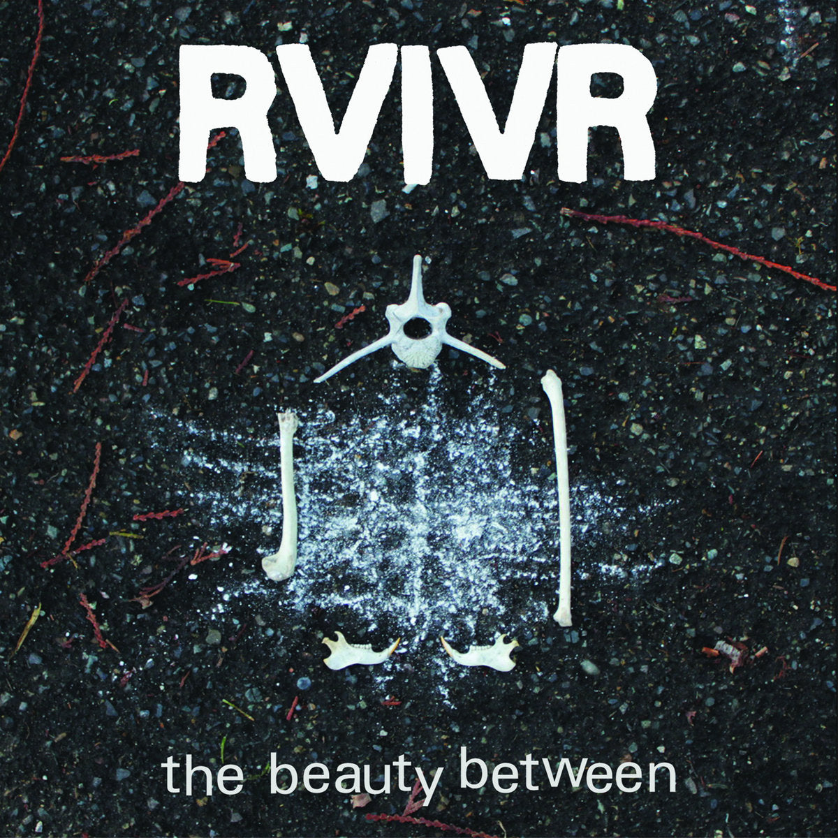 RVIVR- The Beauty Between
