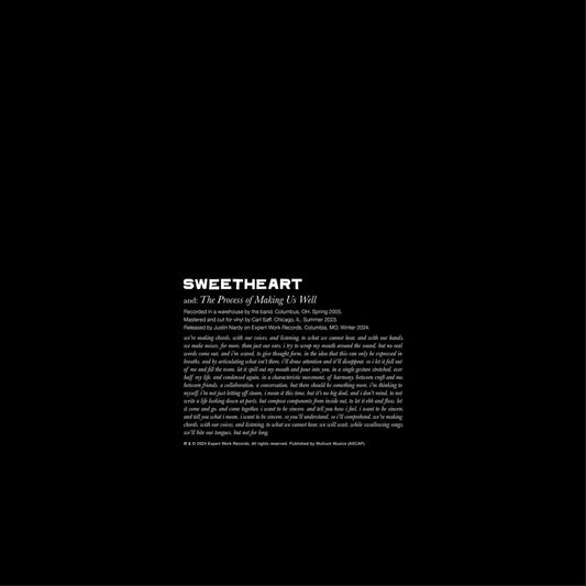 Sweetheart- The Process Of Making Us Well