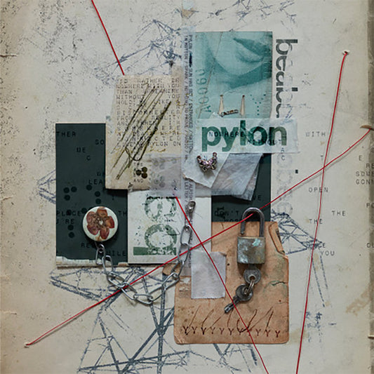Beabadoobee- Pylon
