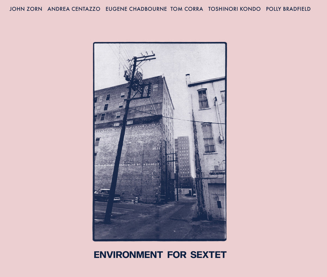 John Zorn / Andrea Centazzo / Eugene Chadbourne / Tom Corra / Toshinori Kondo / Polly Bradfield- Environment For Sextet