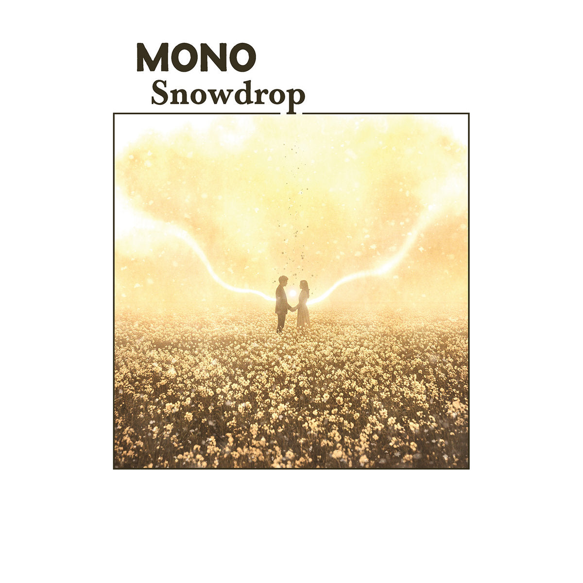 Mono- Snowdrop