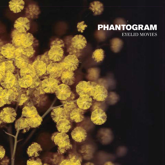 Phantogram- Eyelid Movies