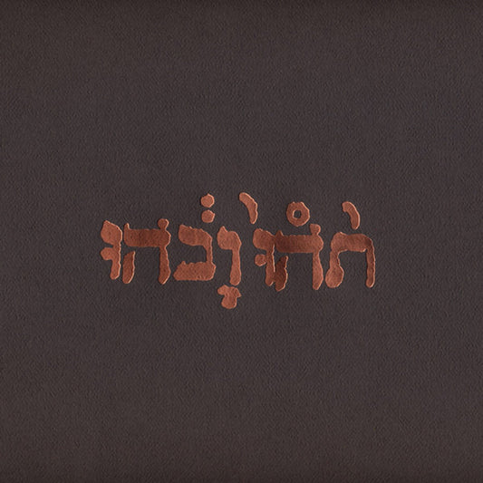 Godspeed You Black Emperor- Slow Riot For New Zero Kanada EP