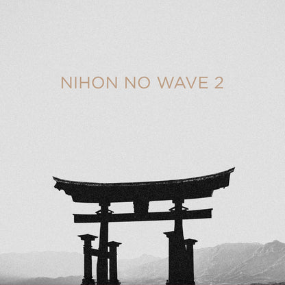 VA- Nihon No Wave Vol. 2
