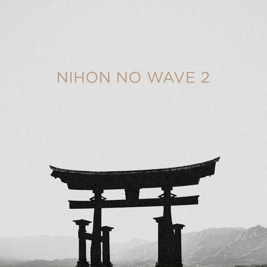 VA- Nihon No Wave Vol. 2
