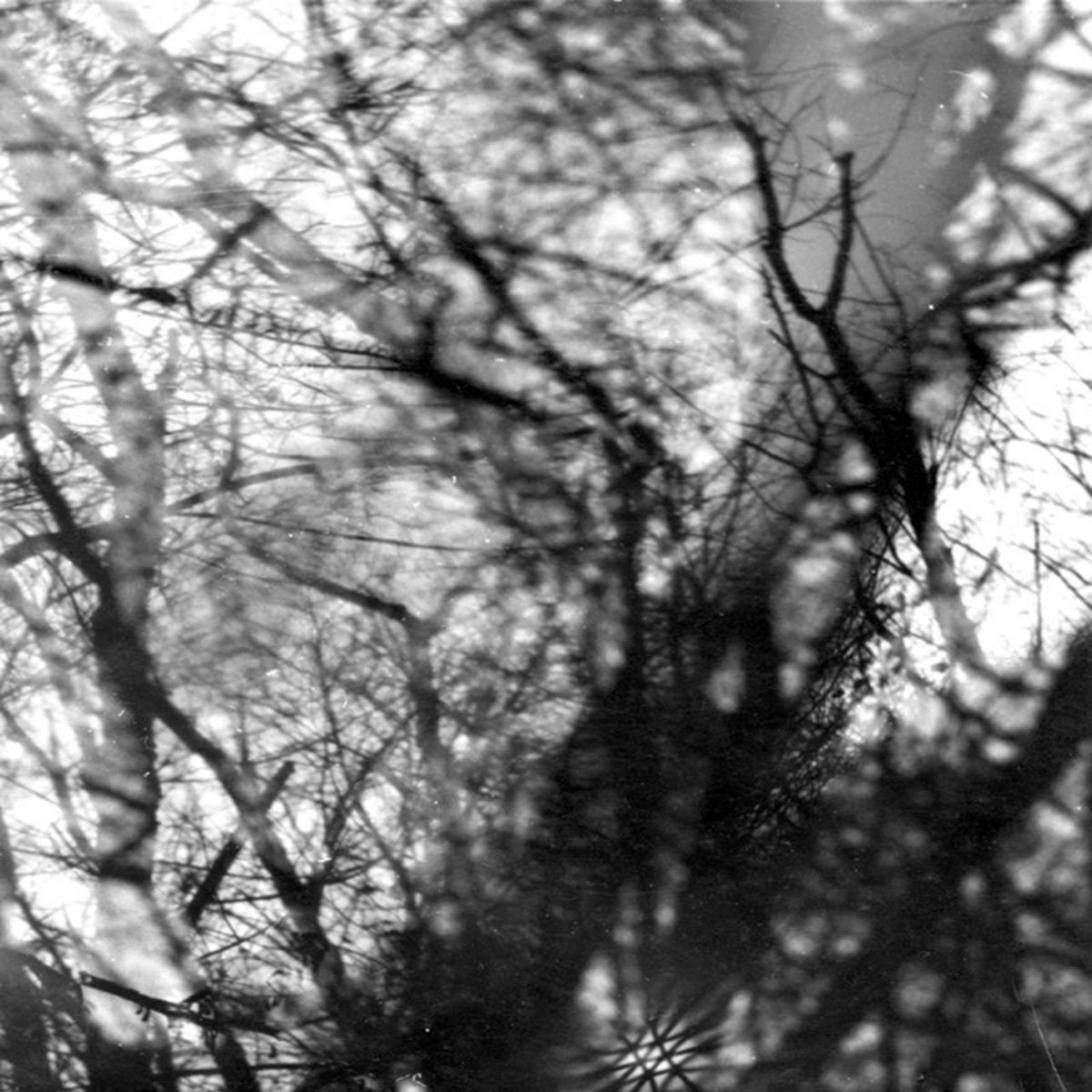 Grouper- Way Their Crept