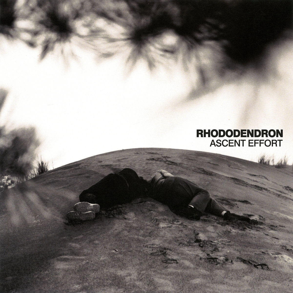 Rhododendron- Ascent Effort